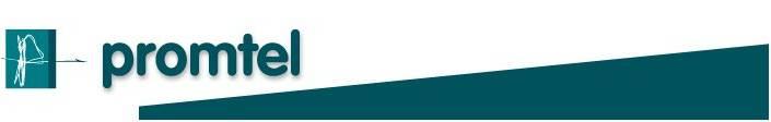 Promtel Logo